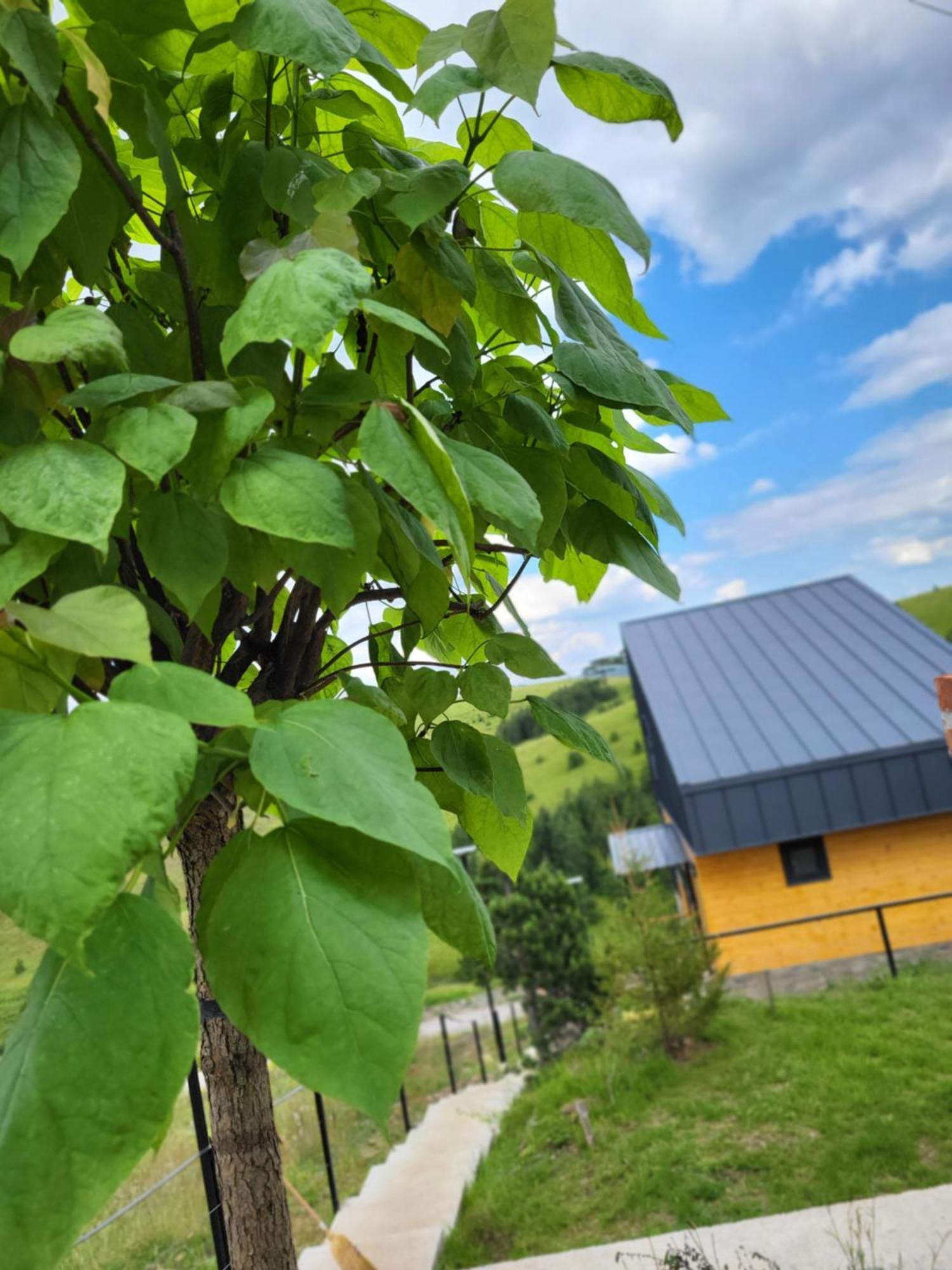 Вилла Huut Златибор Экстерьер фото